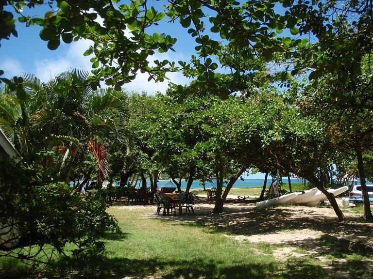The Reef Beach Huts Vieux Fort Exterior foto